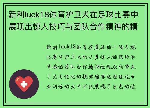 新利luck18体育护卫犬在足球比赛中展现出惊人技巧与团队合作精神的精彩瞬间
